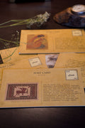 Women's Stories Postcard Box from the Subcontinent
