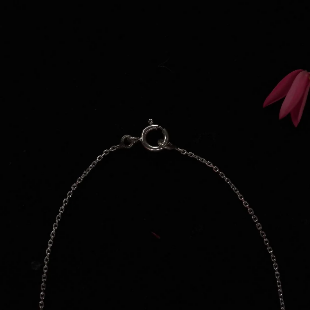 Musaafir Necklace (Silver)