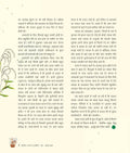 Cycle June- July 2025
