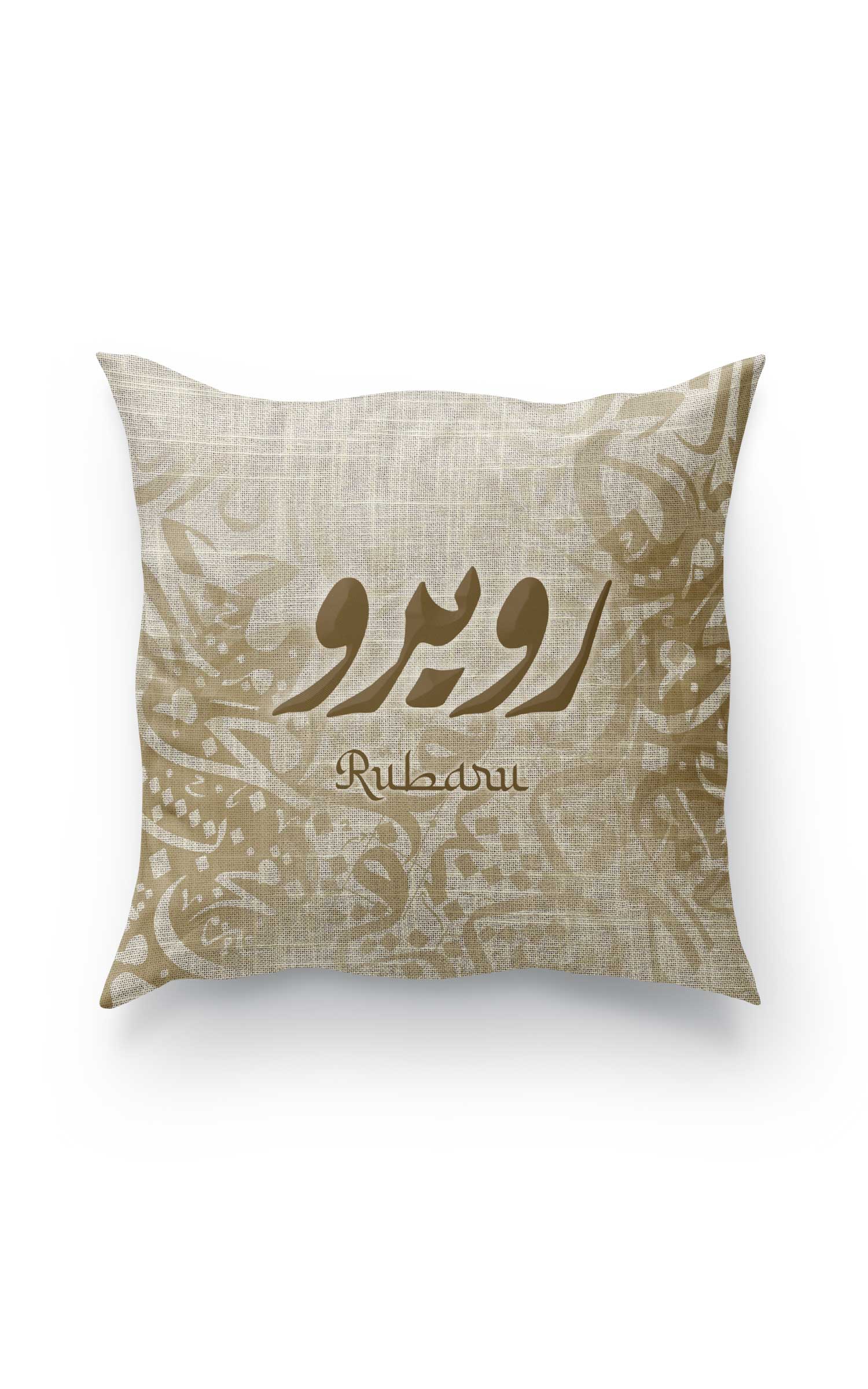 Raushni- Rubaru Cushion cover combo set of 2