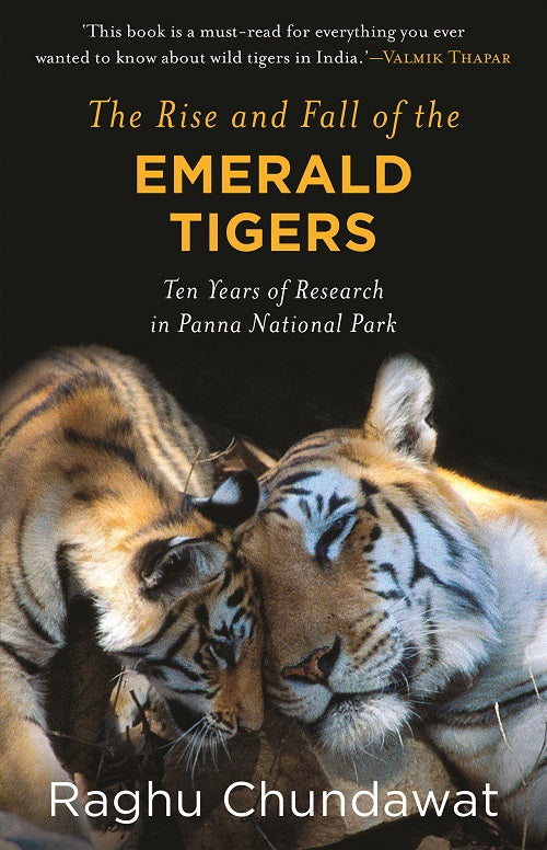 The Rise and Fall of the Emerald Tigers