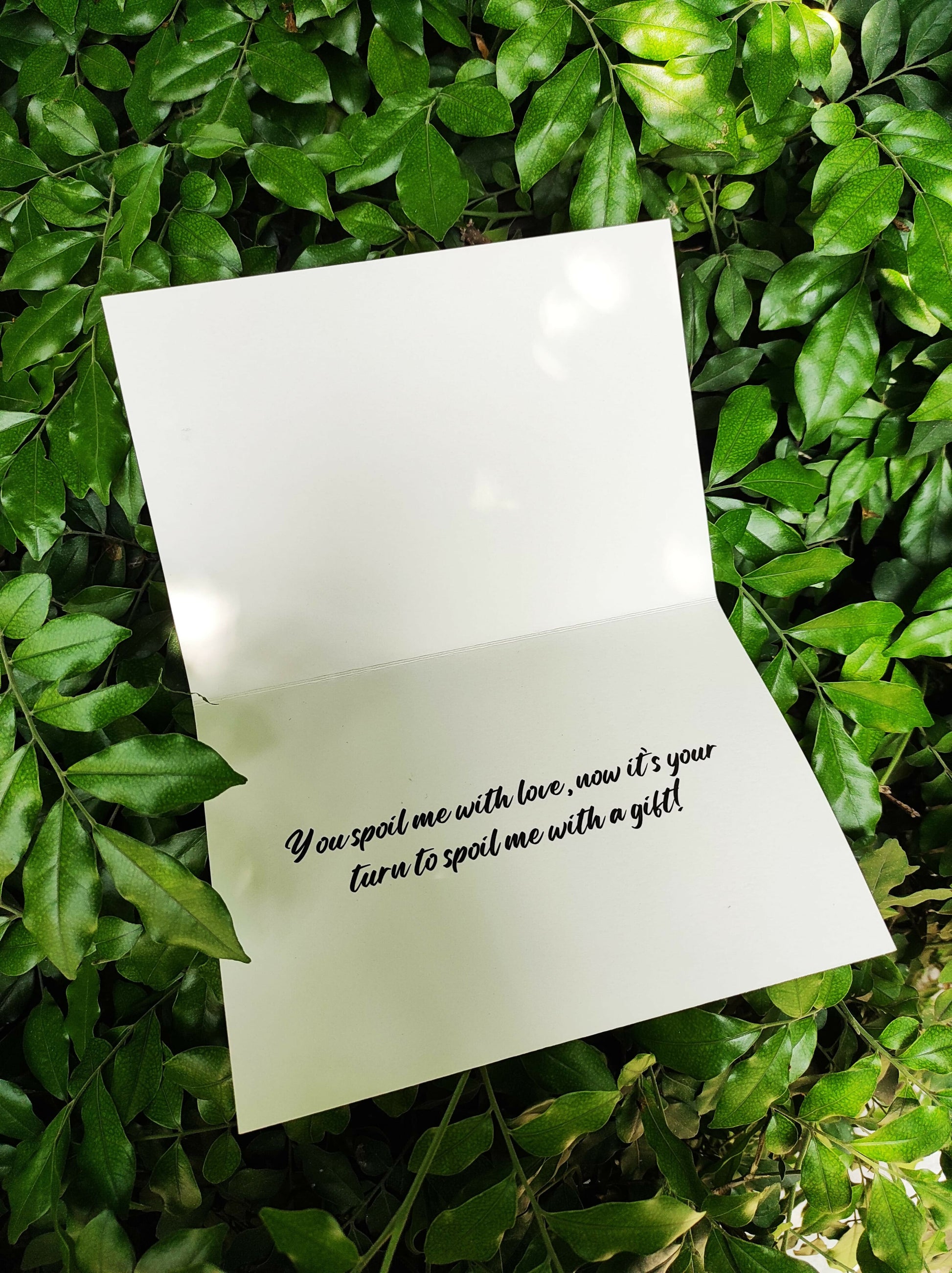 Playful Card for a Brother - Greeting card