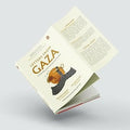 LETTERS FROM GAZA