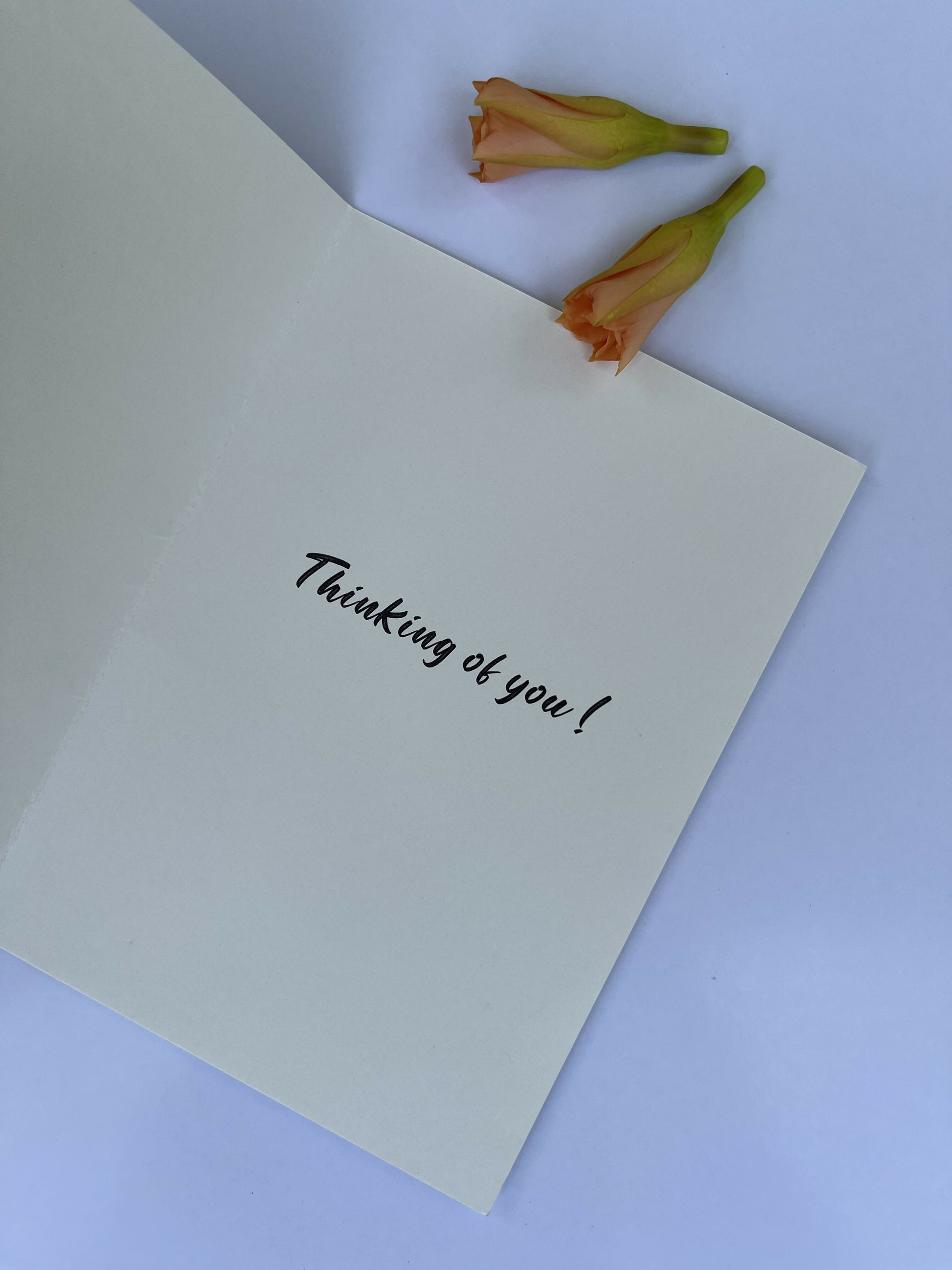 Thinking of You!- Greeting card