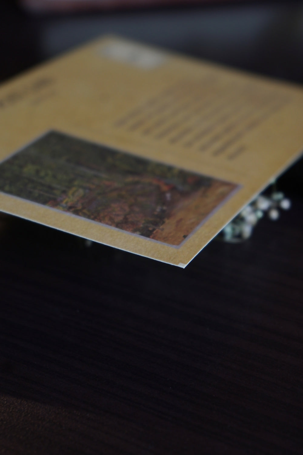 Postcard Set On Nature