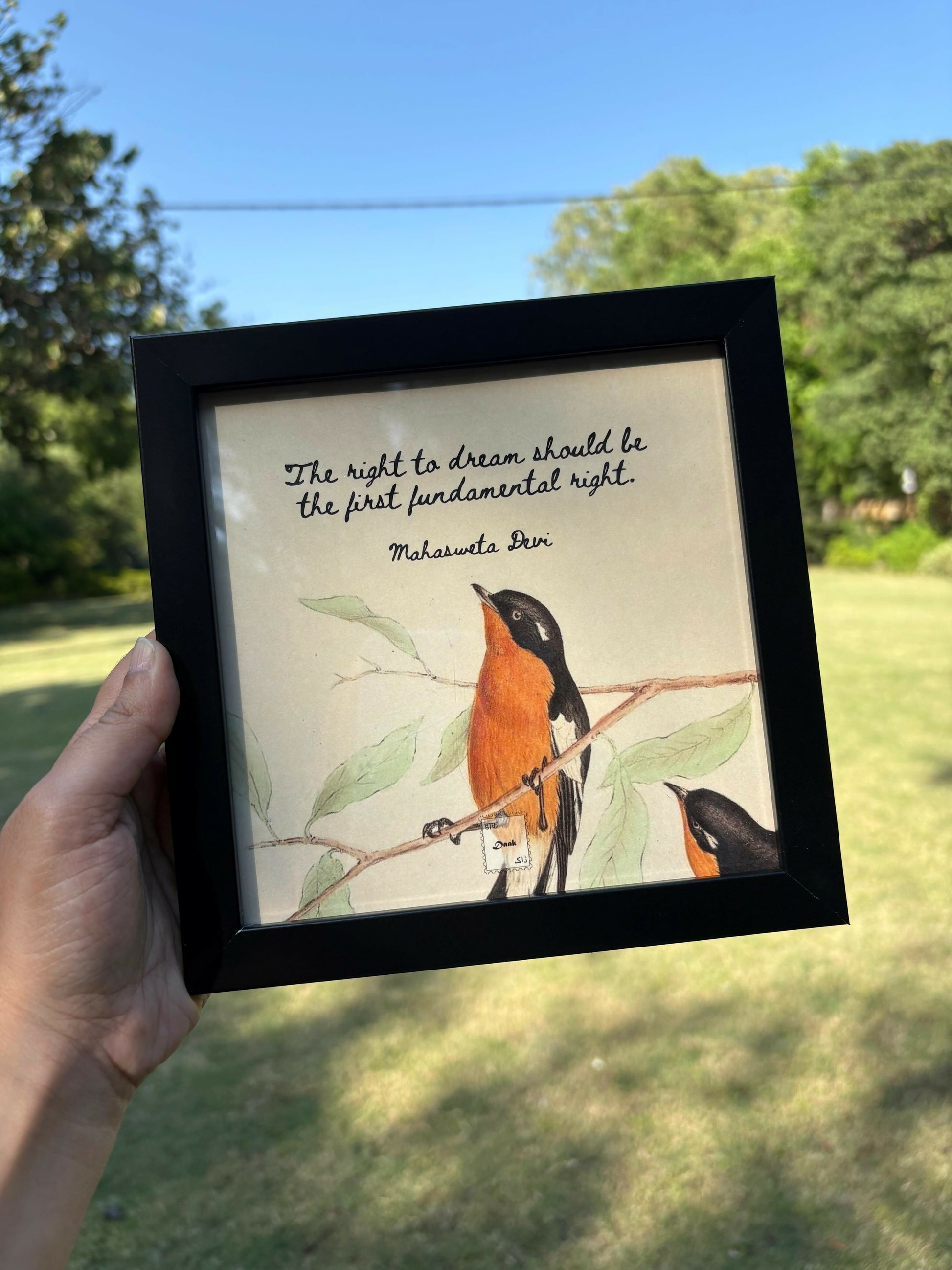Mahasweta Devi Quote Frame