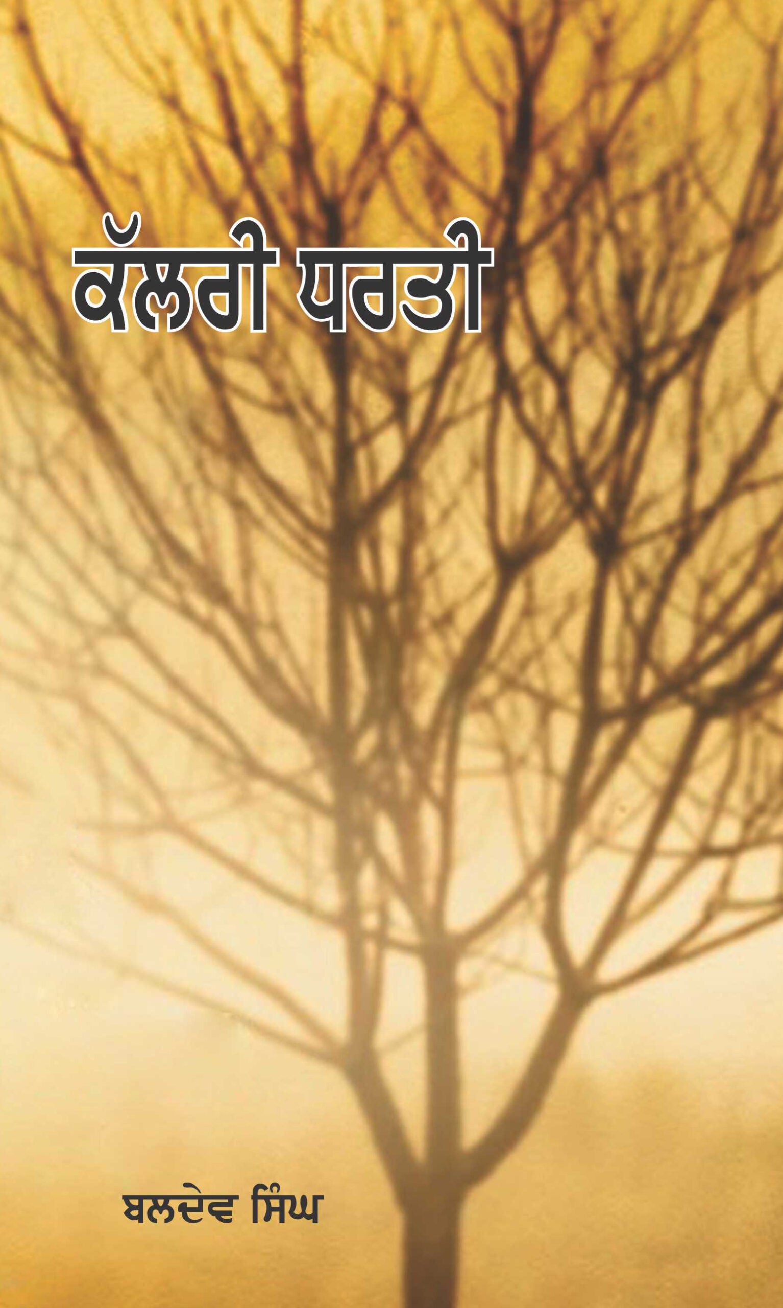 Kalri Dharti