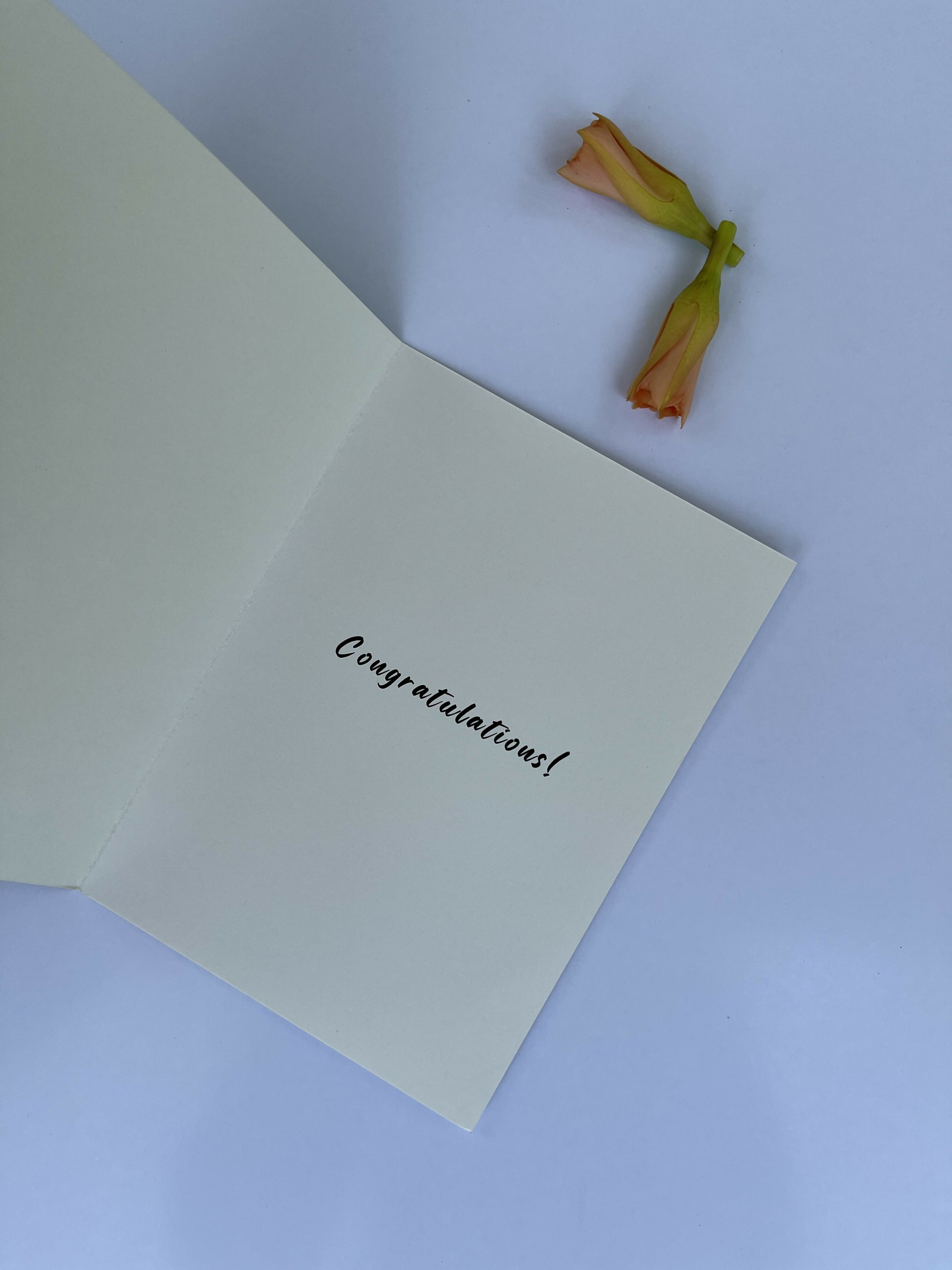 Congratulations! Proud of You.- Greeting card