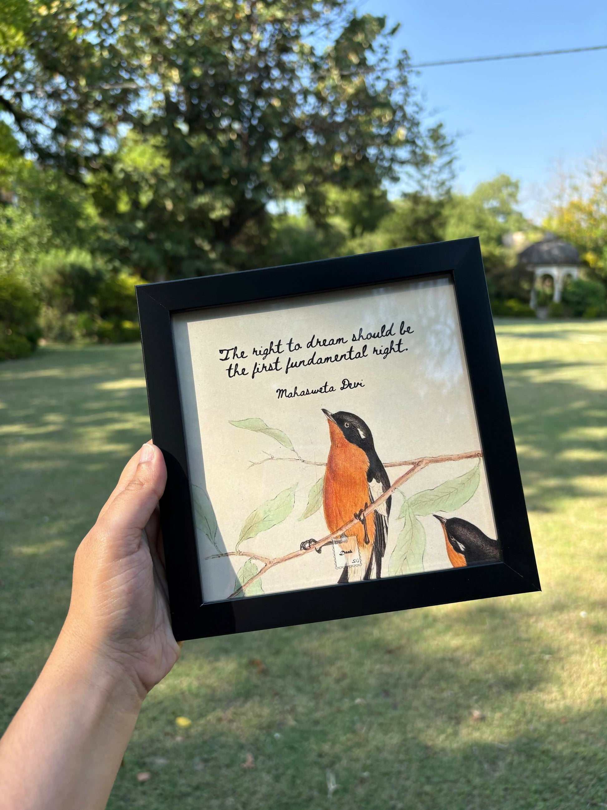 Mahasweta Devi Quote Frame