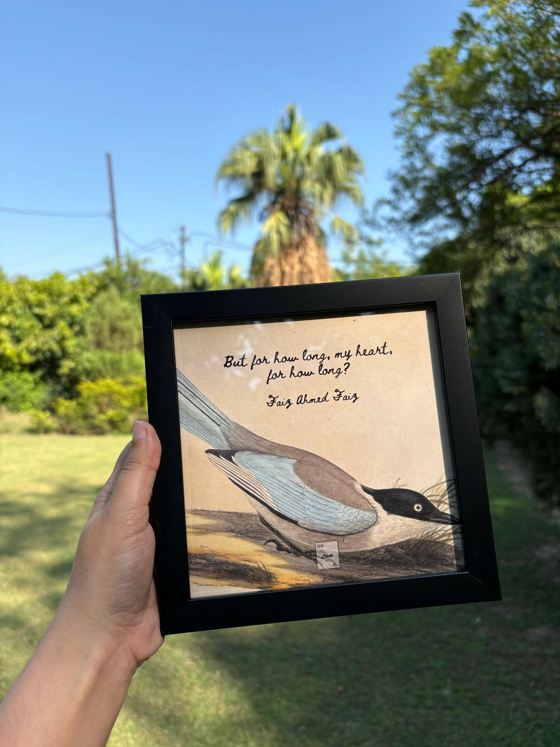 Faiz Ahmad Faiz Quote Frame