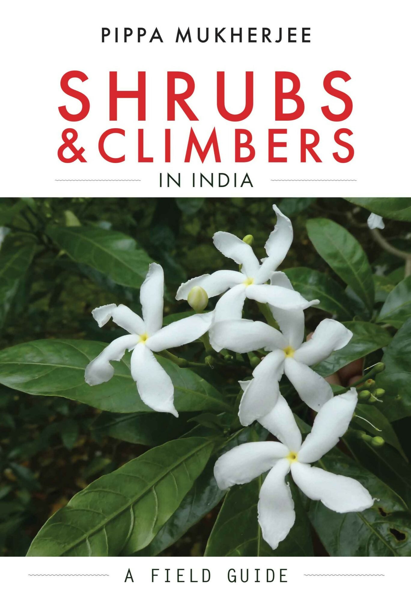 Shrubs & Climbers in India