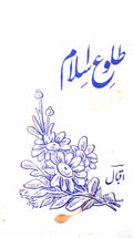 Tuloo-e-Islam