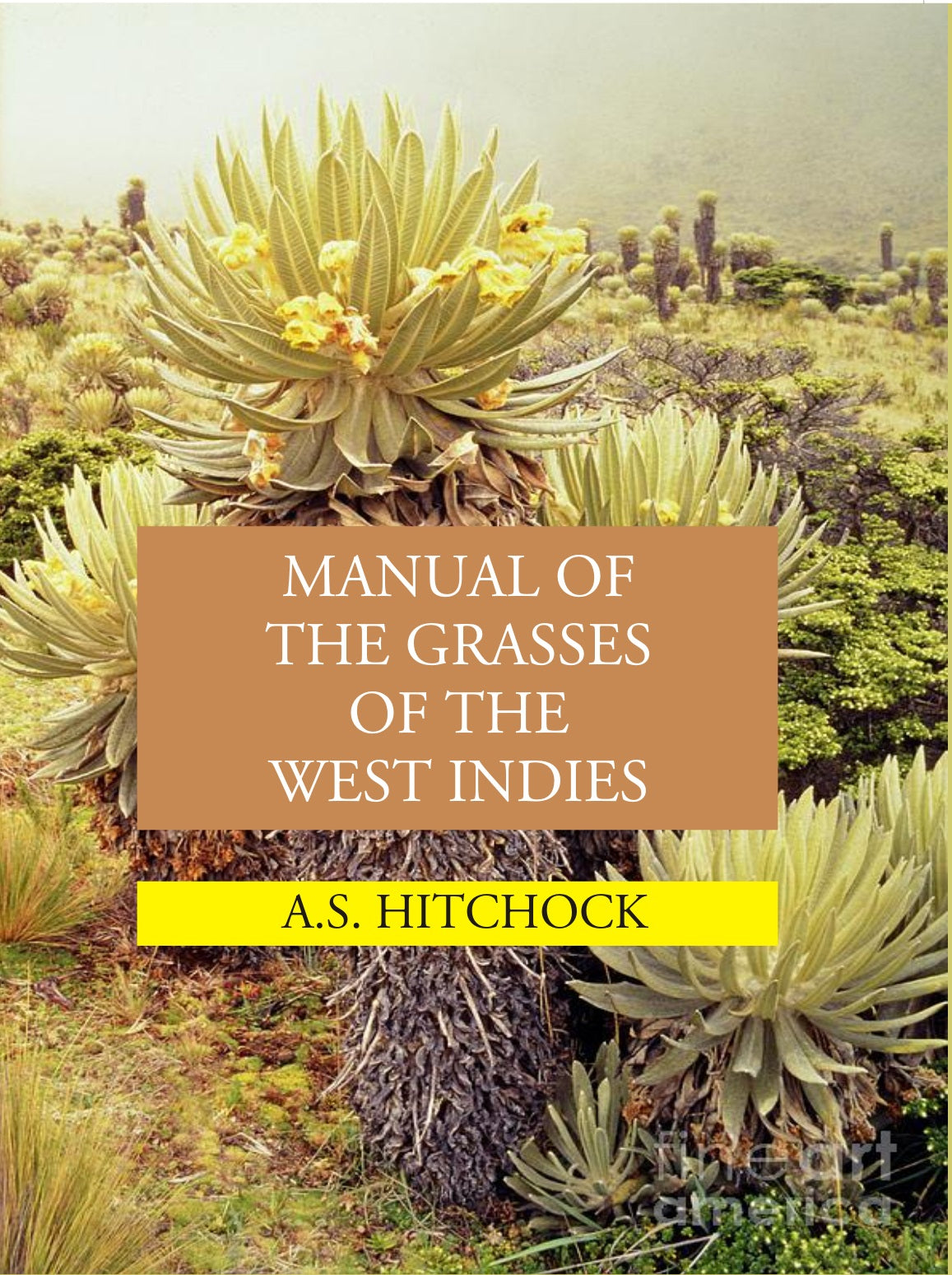 Manual Of The Grasses Of The West Indies