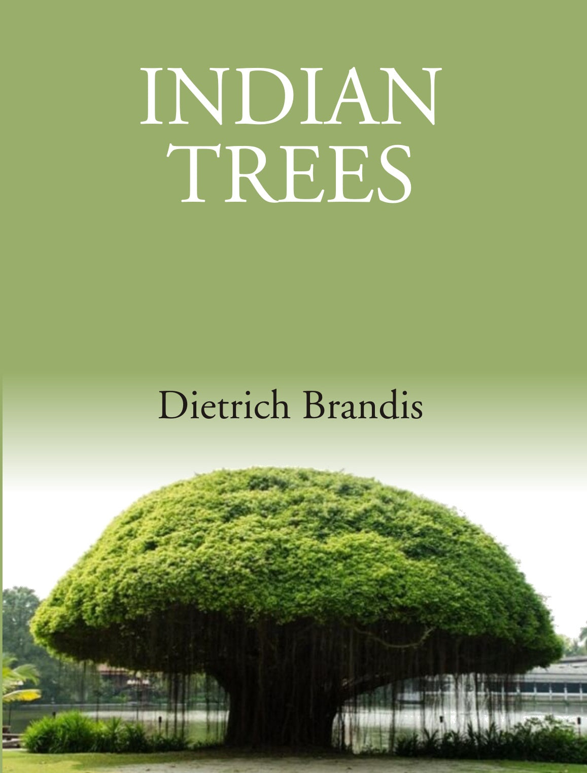Indian Trees: An Account Of Trees, Shrubs, Woody Climbers, Bamboos And Palms Indigenous Or Commonly Cultivated In The British Indian Empire
