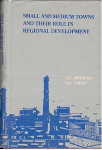 Small and Medium Towns and Their Role in Regional Development [Hardcover]