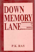 Down Memory Lane [Hardcover]