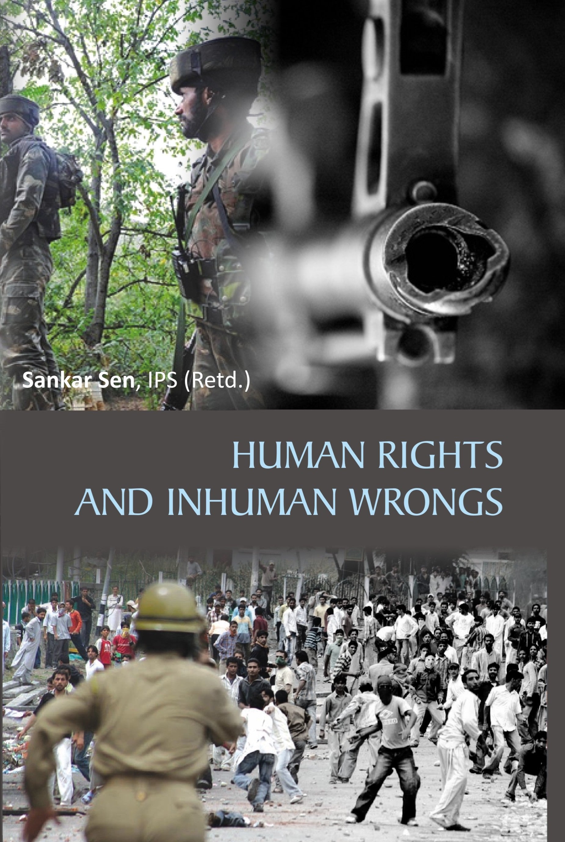 Human Rights and Inhuman Wrongs [Hardcover]