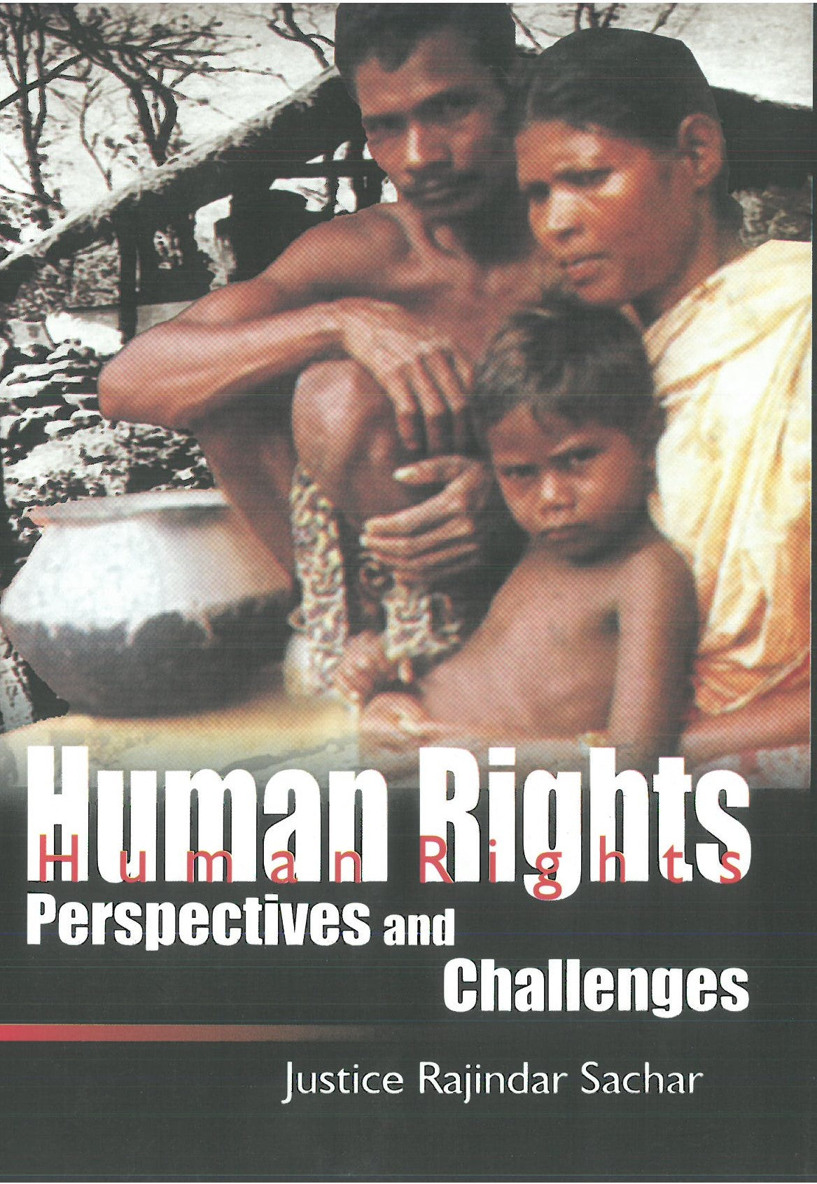 Human Rights Perspectives and Challenges [Hardcover]