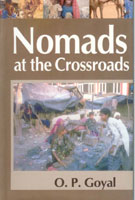 Nomads At the Crossroads