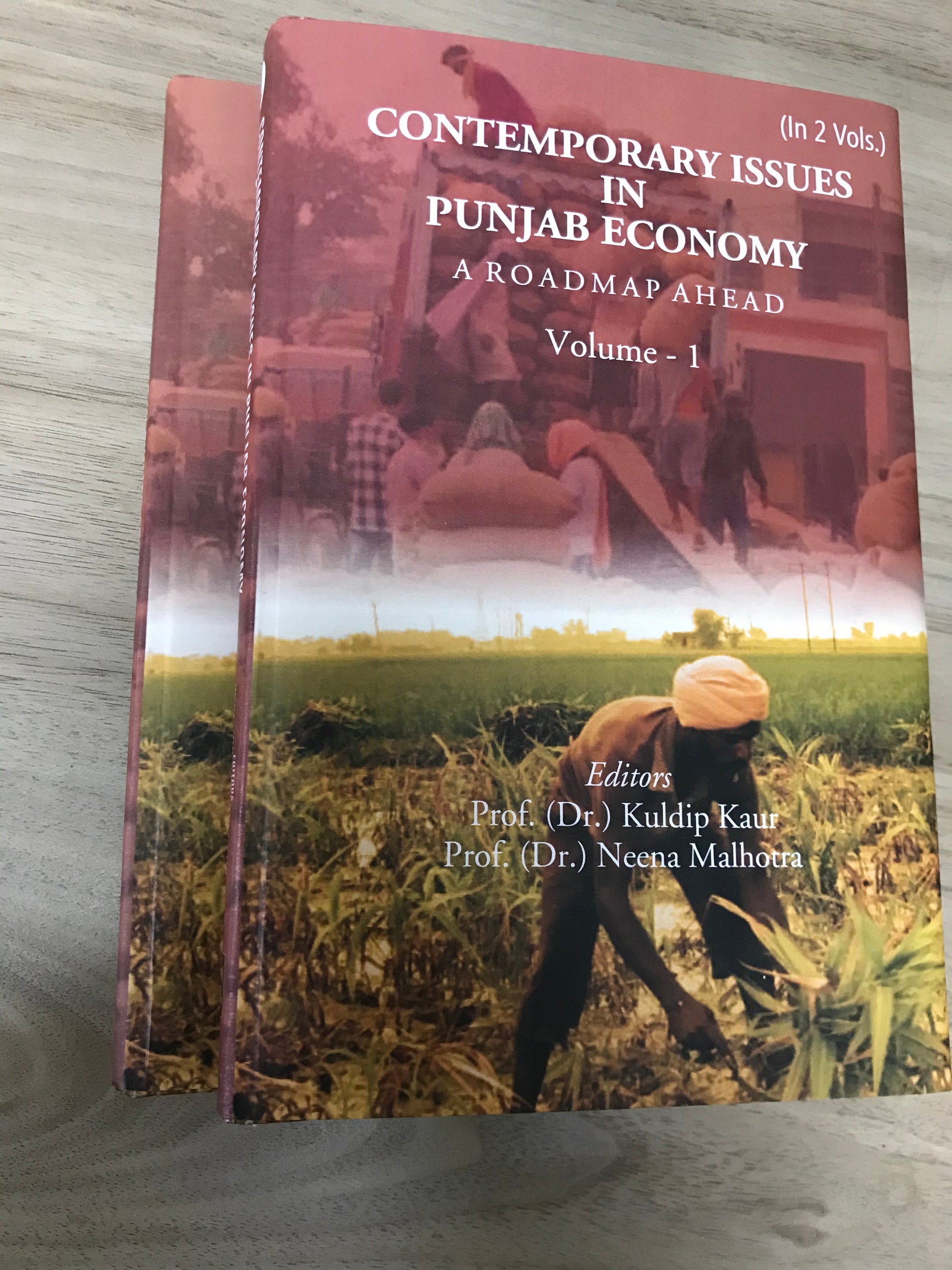 Contemporary Issues in Punjab Economy: A Roadmap Ahead Volume 2 Vols. Set [Hardcover]