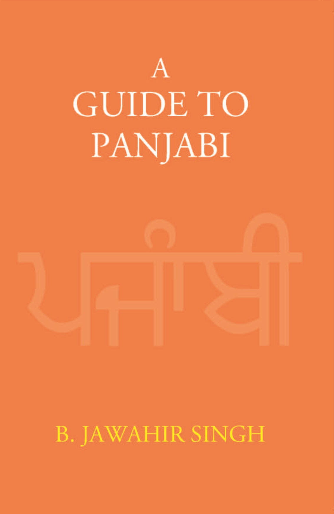 A Guide To Panjabi