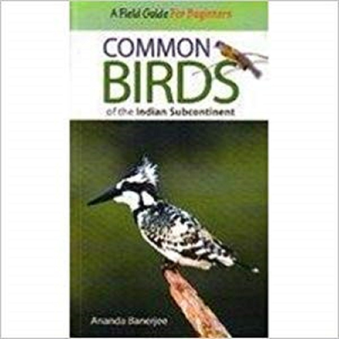 COMMON BIRDS OF THE INDIAN SUBCONTINENT