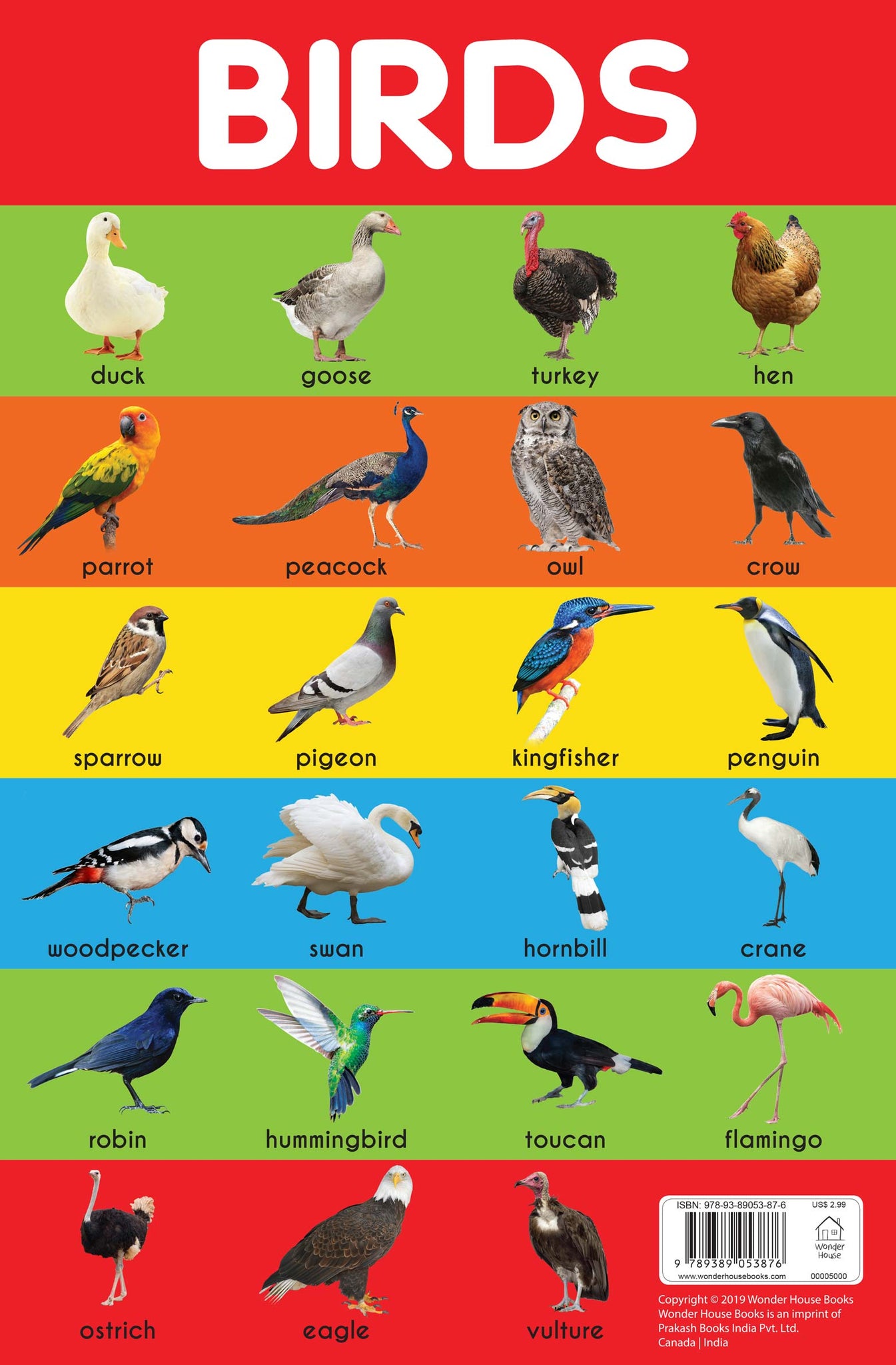 Birds Chart - Early Learning Educational Chart For Kids: Perfect For Homeschooling, Kindergarten and Nursery Students (11.5 Inches X 17.5 Inches)