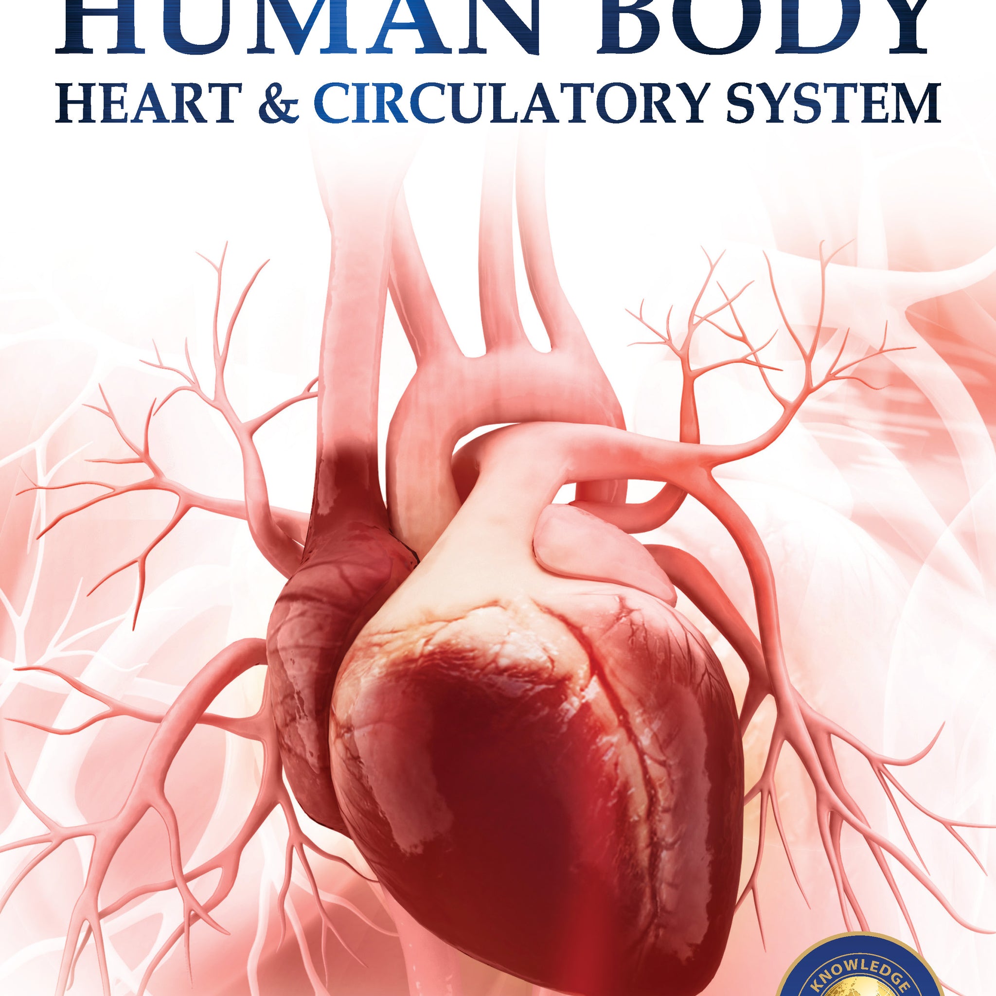 Human Body - Heart And Circulatory System: Knowledge Encyclopedia For Children