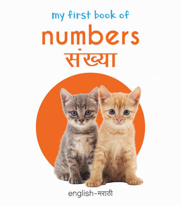 My First Book of Numbers - Sankhya : My First English Marathi Board Book