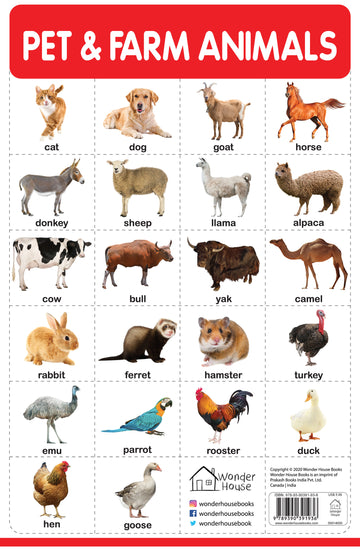 Pet And Farm Animals - My First Early Learning Wall Chart: For Preschool, Kindergarten, Nursery And Homeschooling (19 Inches X 29 Inches)