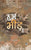 Purchase Hum Bheed Hain by the -Raghuvanshat best price only on rekhtabooks.com