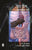 Purchase Pet Rog : Vyavharik Baten by the -Dr. Brij Kishore Agarwal, Dr. Pradip Kumarat best price only on rekhtabooks.com