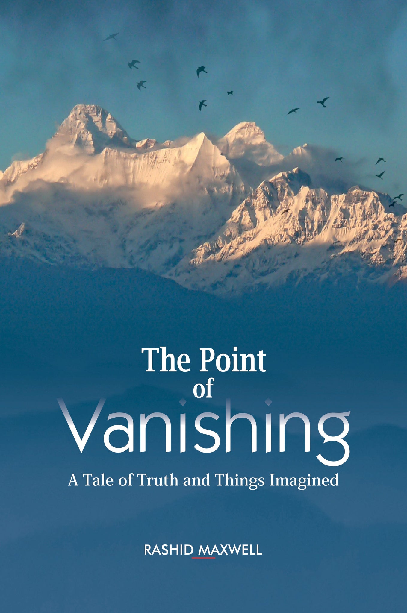 The Point of Vanishing: A Tale of Truth and Things Imagined