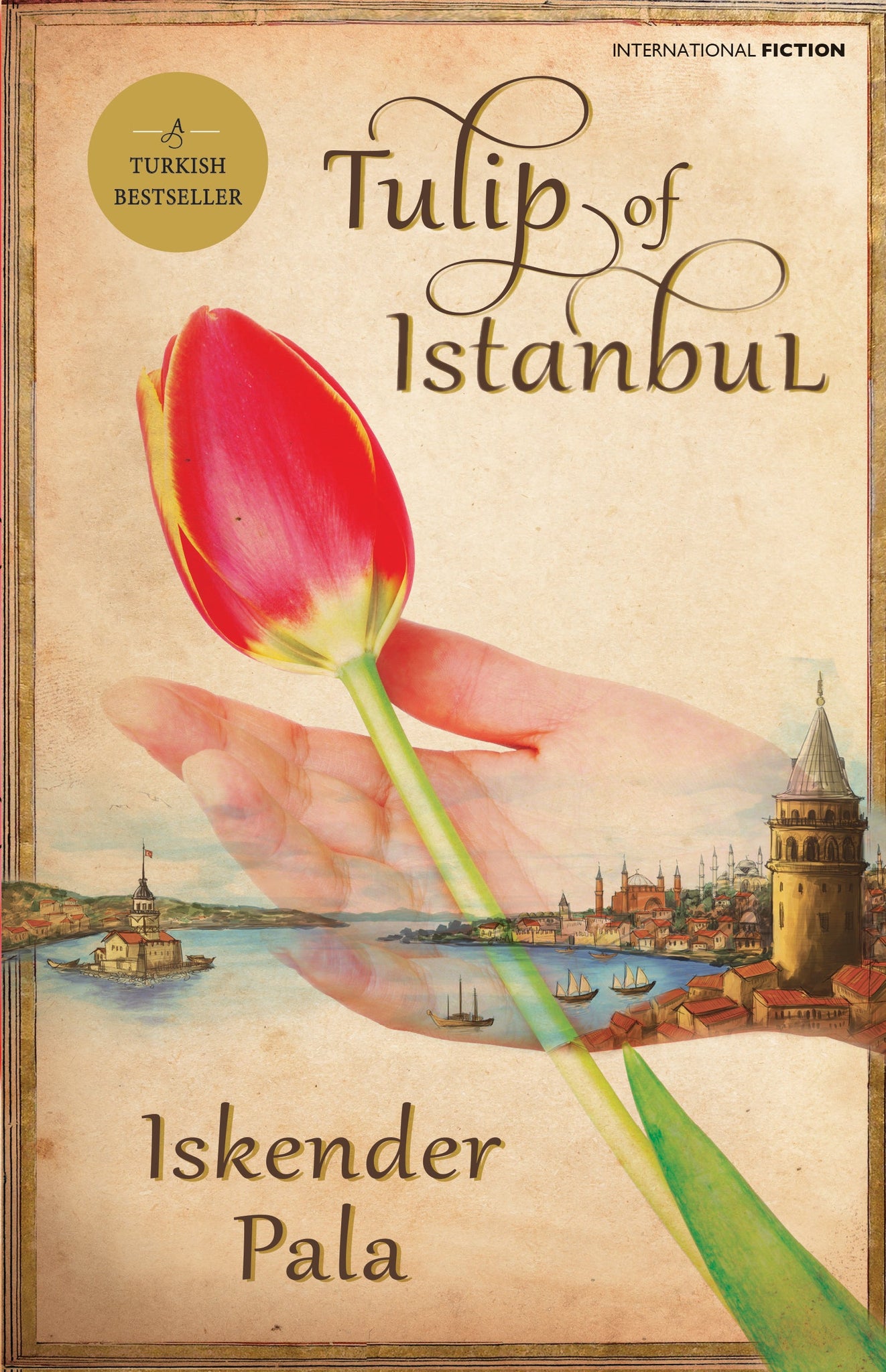 Tulip of Istanbul (P.B)